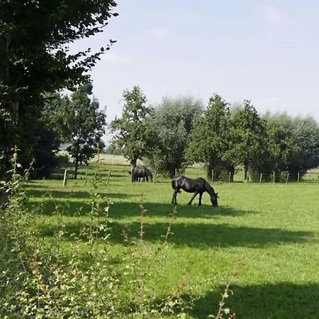 Apartment Welcoming Near Town Center In